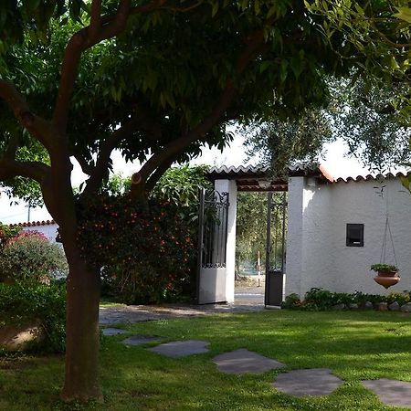Azienda Agrituristica Villa Arianna Imperia Exterior photo